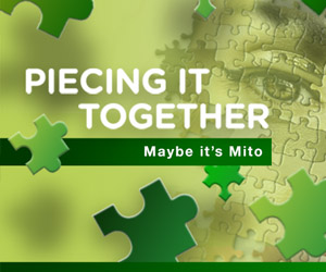 Maybe It's Mito